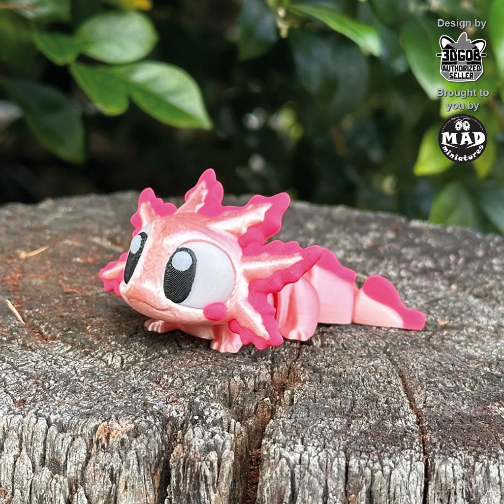 Axolotl