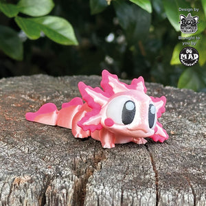Axolotl