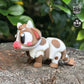 Spotted Cow
