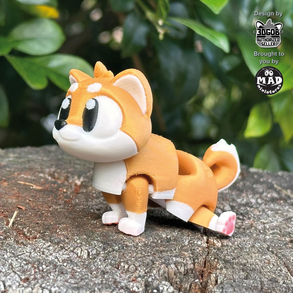 Shiba Inu