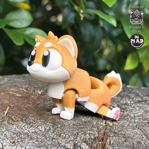 Shiba Inu