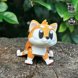 Shiba Inu