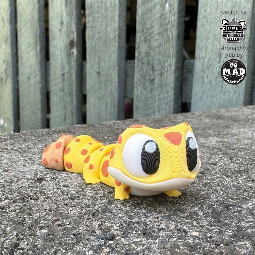 Australian Fat-tailed Gecko