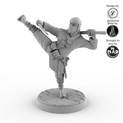 Ninja - The Silent Blade