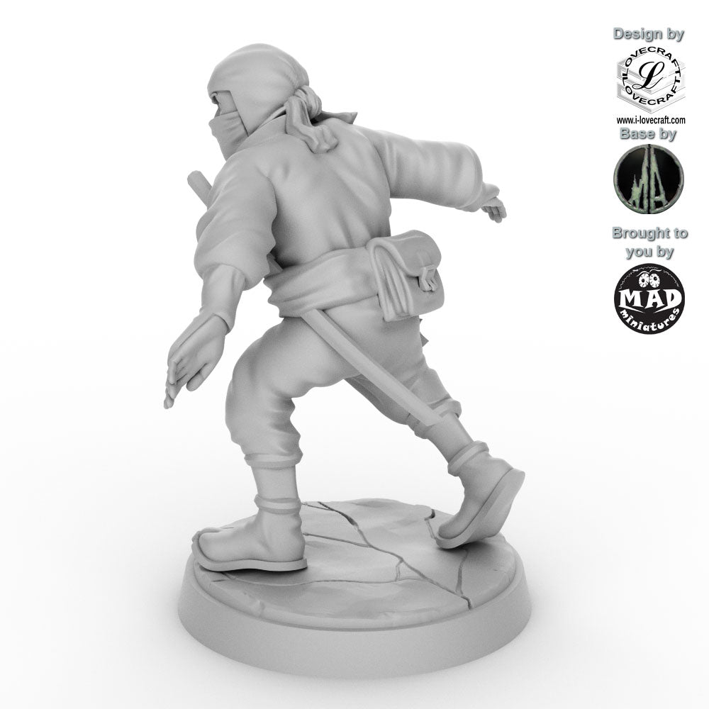 Ninja - The Shadow Walker