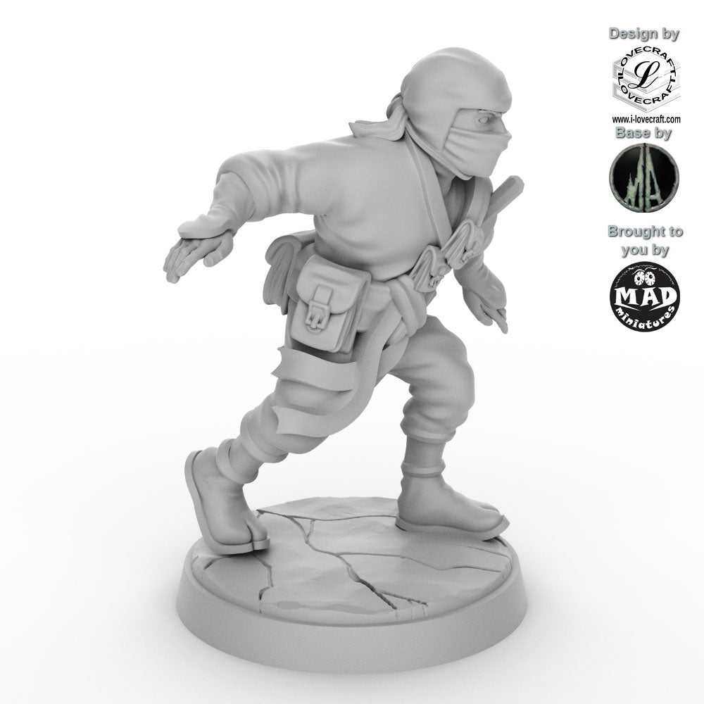 Ninja - The Shadow Walker