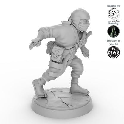 Ninja - The Shadow Walker