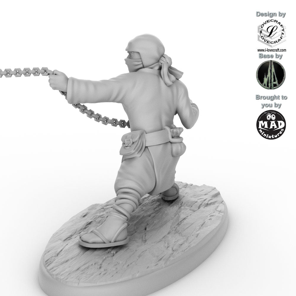 Ninja - The Chain Serpent