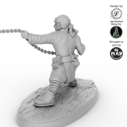 Ninja - The Chain Serpent