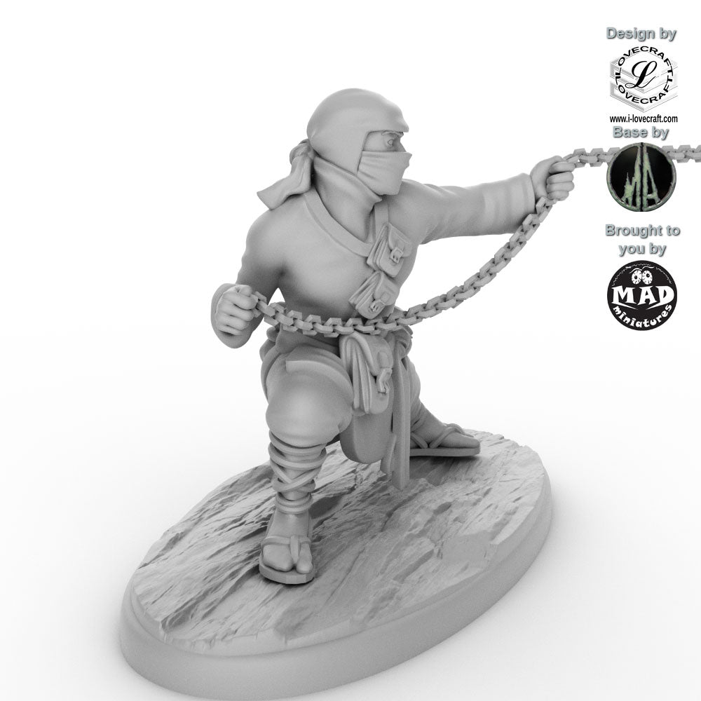 Ninja - The Chain Serpent