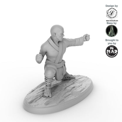 Shaolin Monk 1