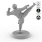Shaolin Monk 2
