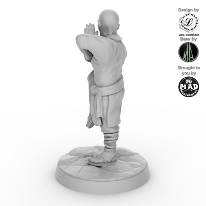 Shaolin Monk 3