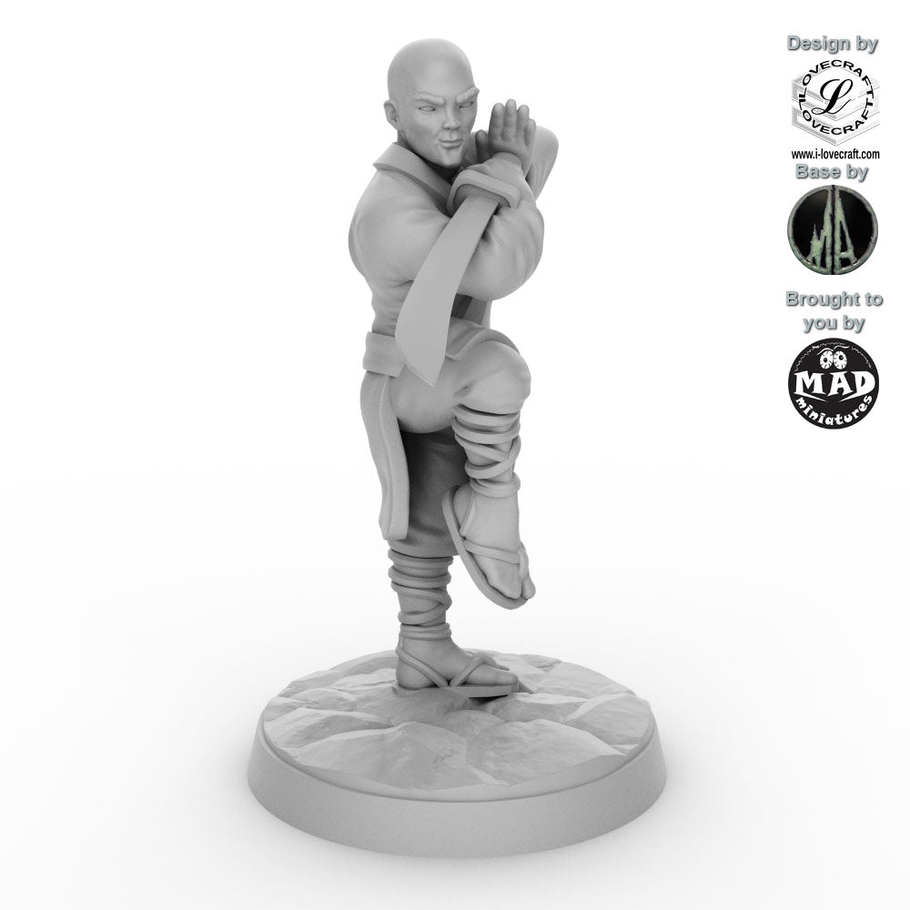 Shaolin Monk 3