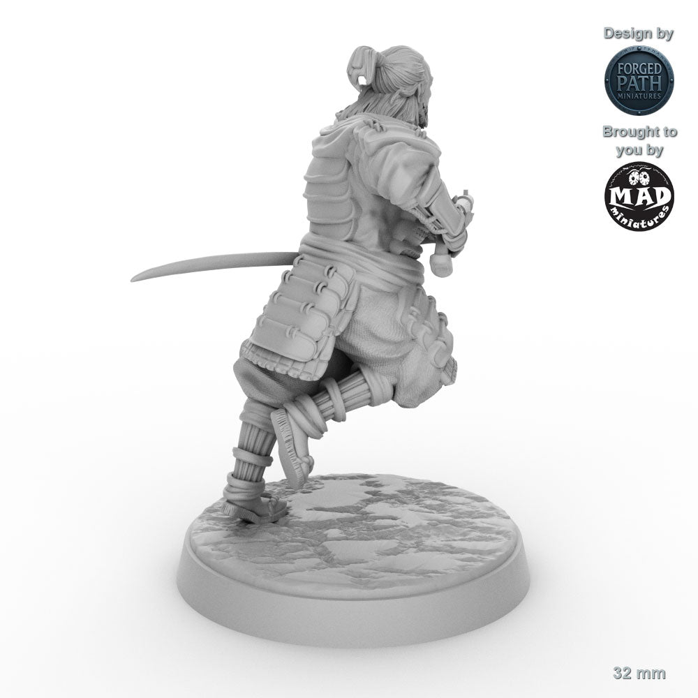 Tanegashima Samurai 1