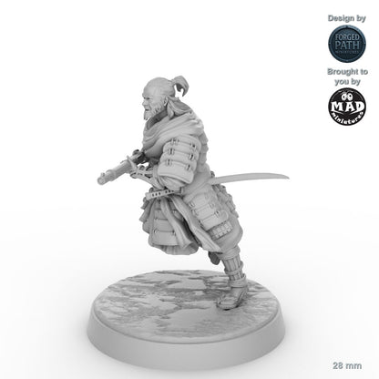 Tanegashima Samurai 1