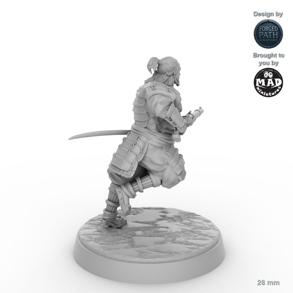 Tanegashima Samurai 1