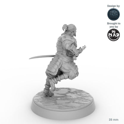 Tanegashima Samurai 1