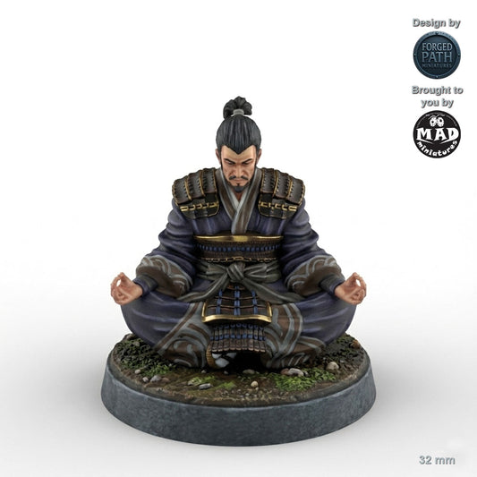 Meditating Samurai