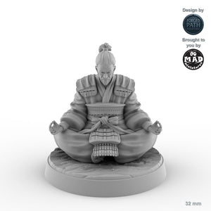 Meditating Samurai