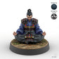 Meditating Samurai