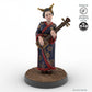 Geisha Musician