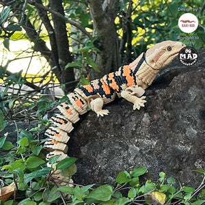 Blue-tongue Lizard