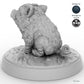 Baby Boar A