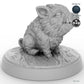 Baby Boar A