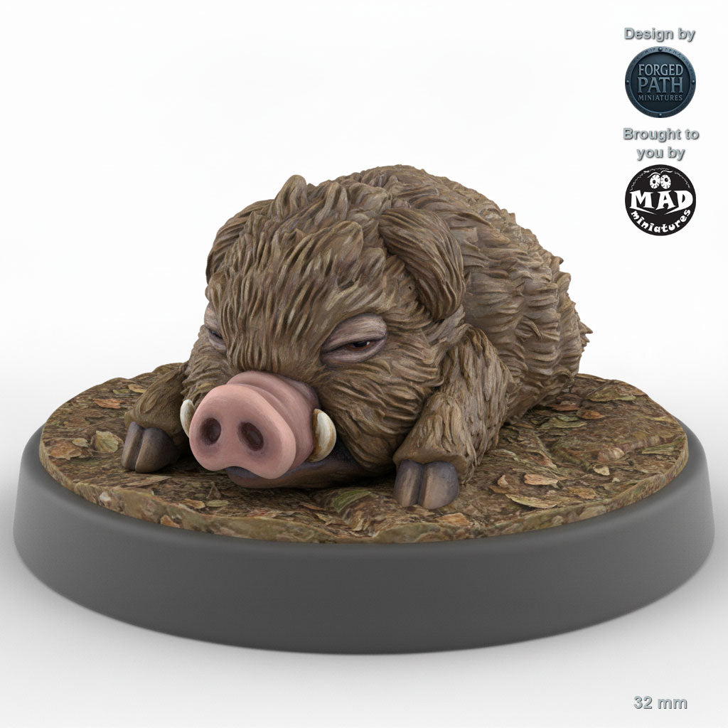 Baby Boar B