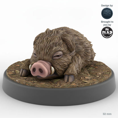 Baby Boar B