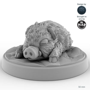 Baby Boar B