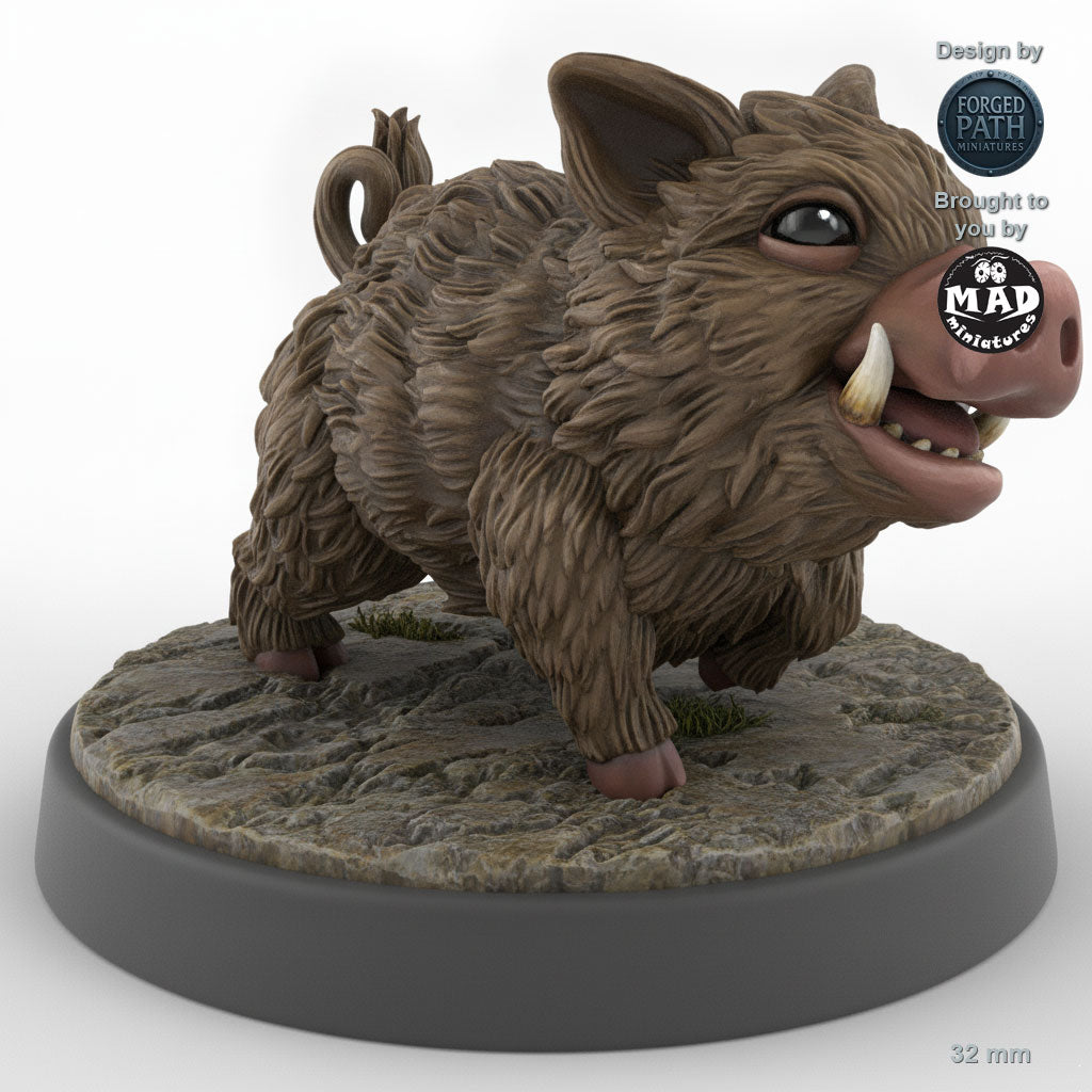 Baby Boar C