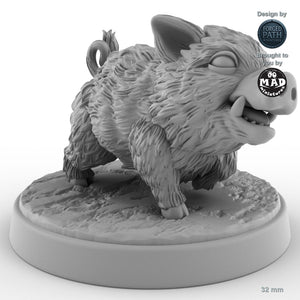 Baby Boar C