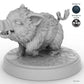 Baby Boar C