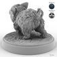 Baby Boar C