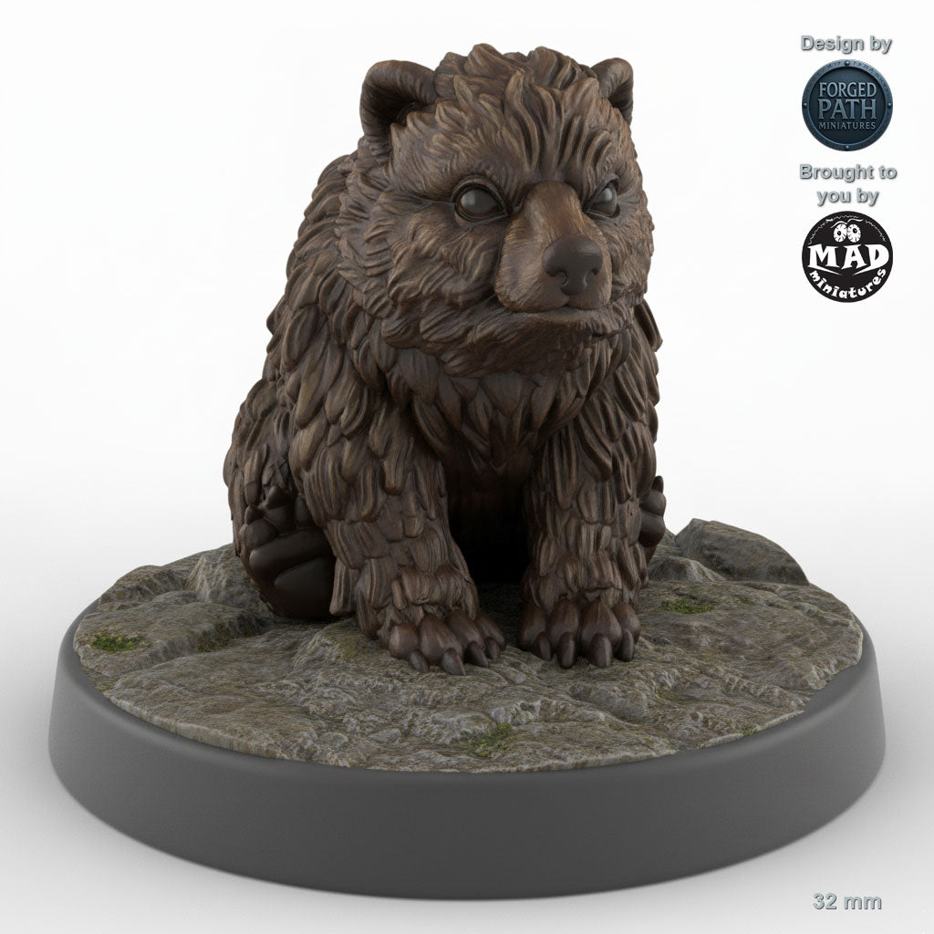 Bear Cub A