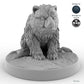 Bear Cub A