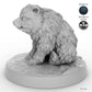 Bear Cub A