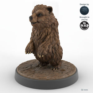 Bear Cub B