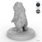 Bear Cub B