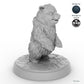 Bear Cub B