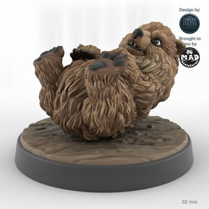 Bear Cub C
