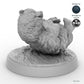 Bear Cub C