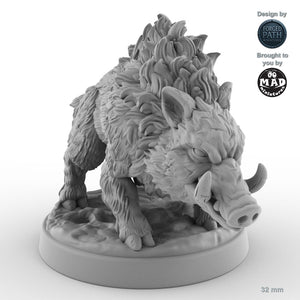 Adult Boar A