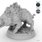 Adult Boar A