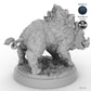 Adult Boar A