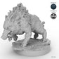 Adult Boar B
