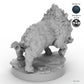 Adult Boar B