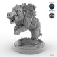 Adult Boar C